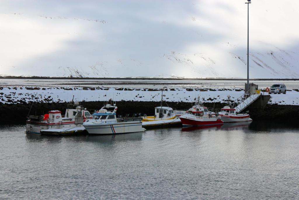 Comfy Guesthouse Westfjords Sudureyri Buitenkant foto